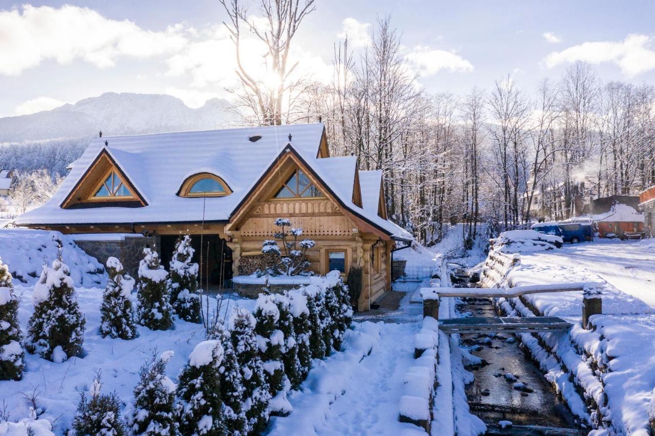 Udanypobyt Domki Przy Potoku Zakopane Exteriér fotografie